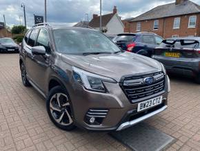 SUBARU FORESTER 2023 (23) at Bulldog Group Twyford